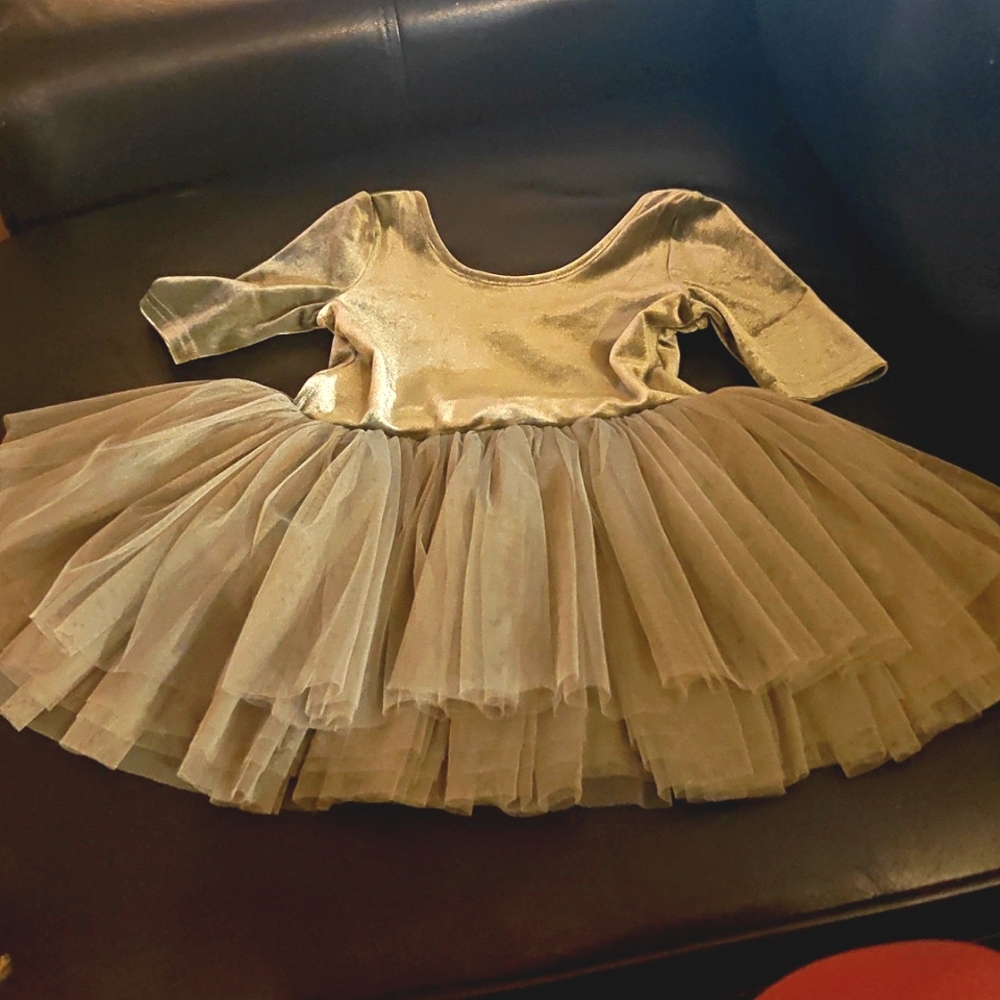 Kids Sage Green Tutu Costume